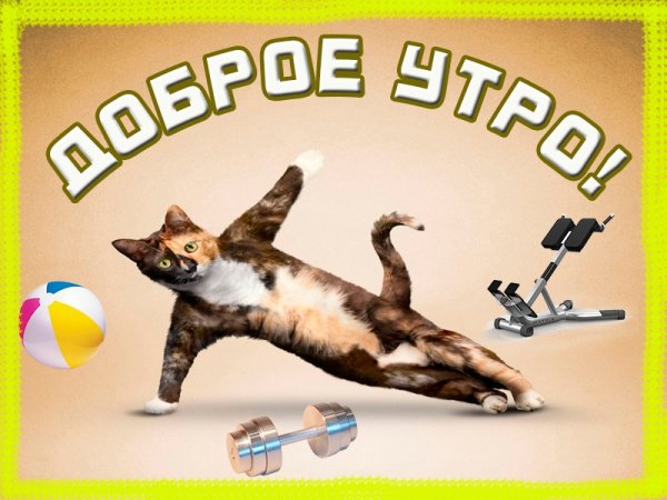 Бодрого спортивного утра