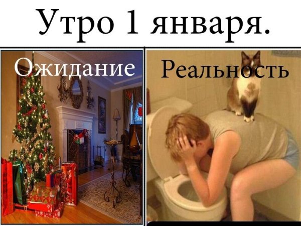 Утро 1 января приколы