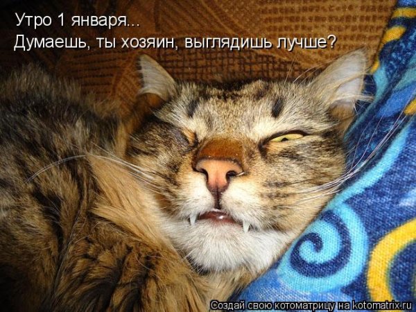 Утро первого января