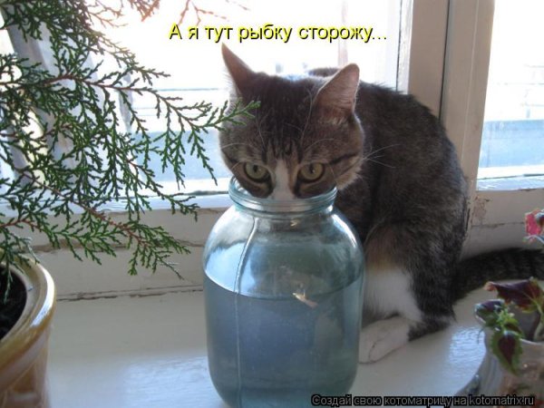 С утром 1 января
