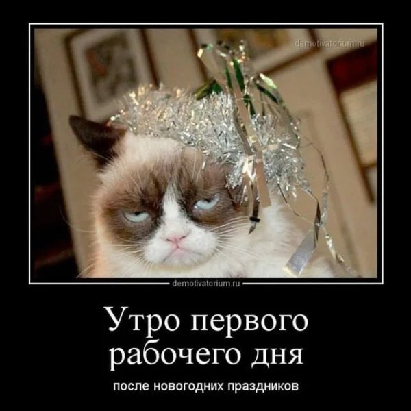 После новогодних праздников
