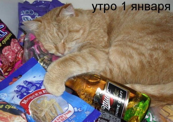 Доброе утро 1 января
