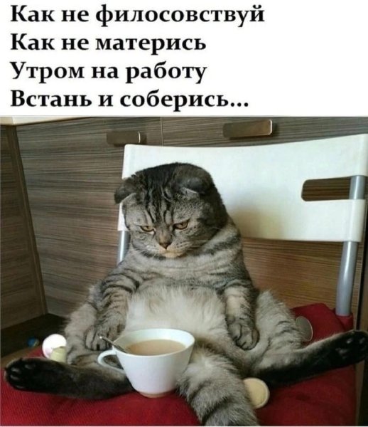 Картинки с добрым утром прикольные