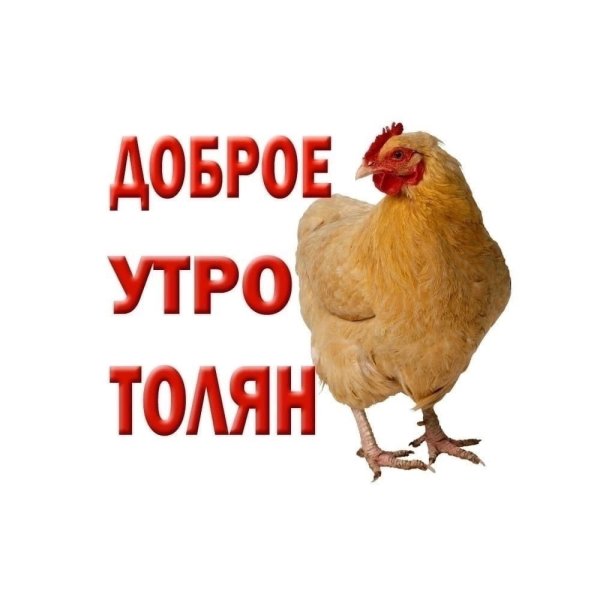 Доброе утро Анатолий