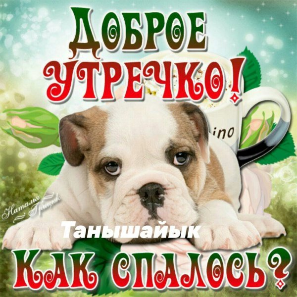 Открытки с добрым утром с собаками