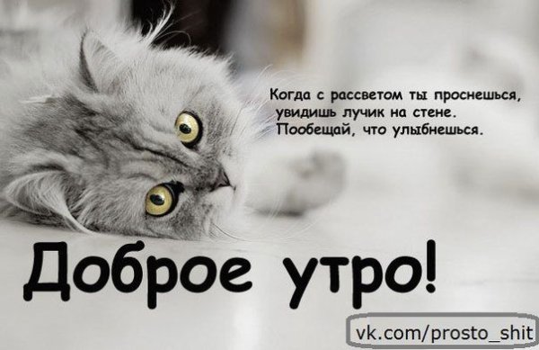 Открытки с добрым утром прикольные