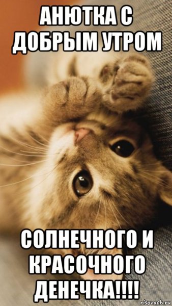 Доброе утро Анечка