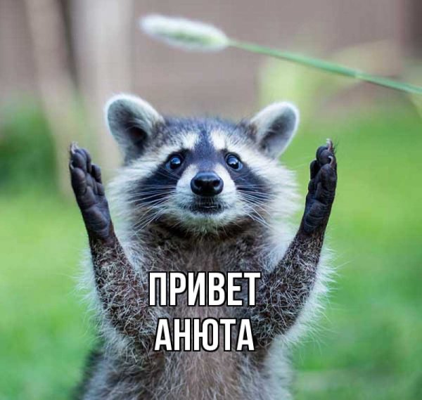 Открытки привет Анюта