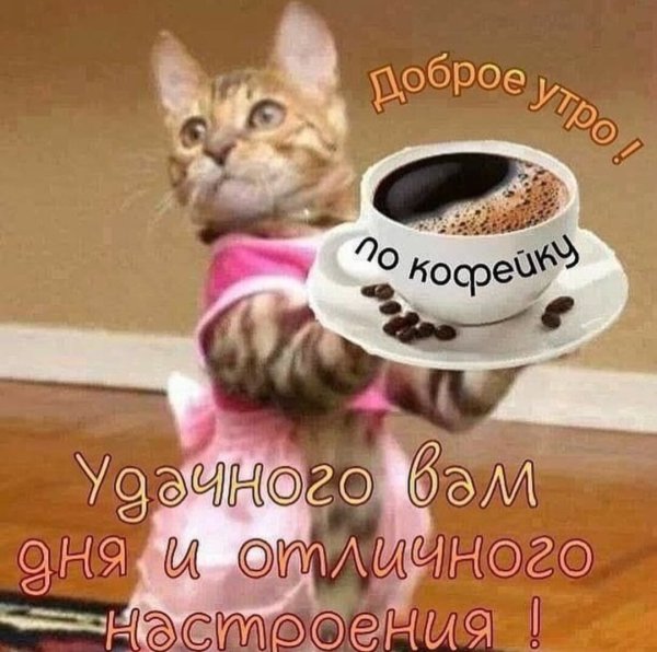 Открытки с добрым утром прикольные