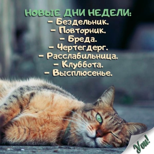 Высказывания про понедельник