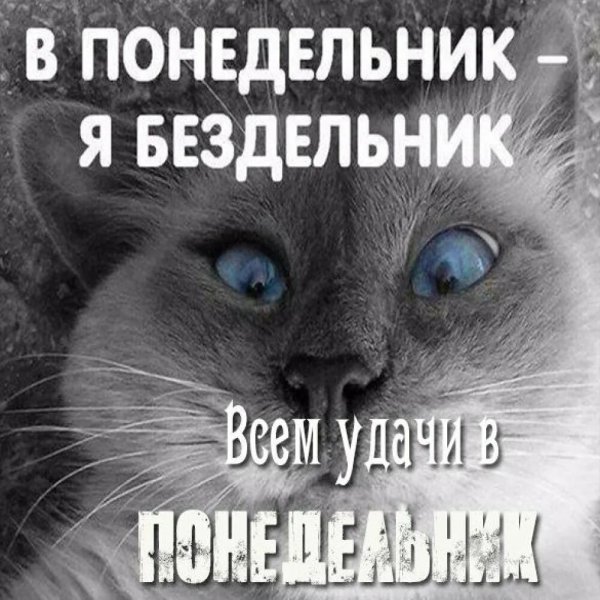 Открытки опять понедельник