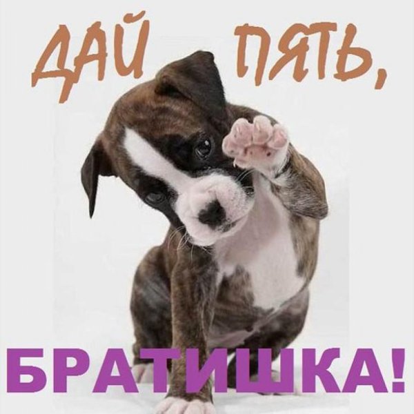 Привет братишка открытки