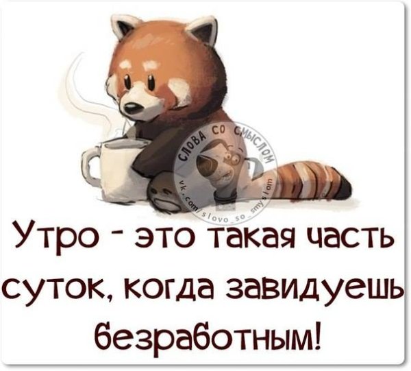 С добрым утром четверга прикольные смешные