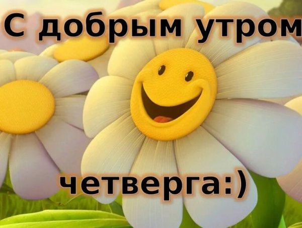 Доброе утро четверга