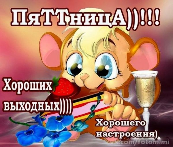 Хорошего дня прикольные