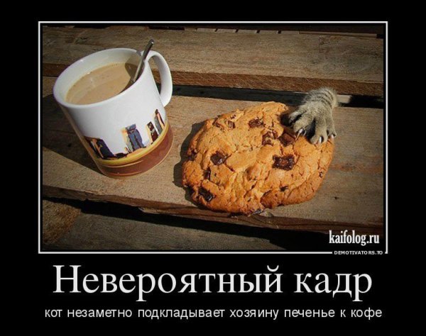Демотиваторы с добрым утром