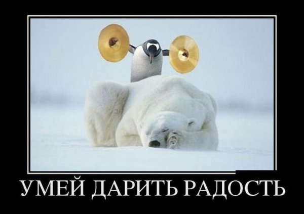 С добрым утром демотиваторы смешные