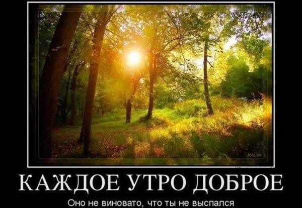Демотиваторы с добрым утром прикольные картинки