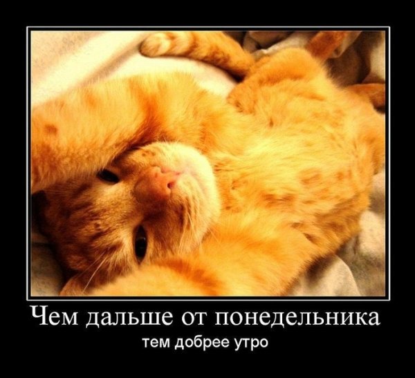 Доброе утро прикол