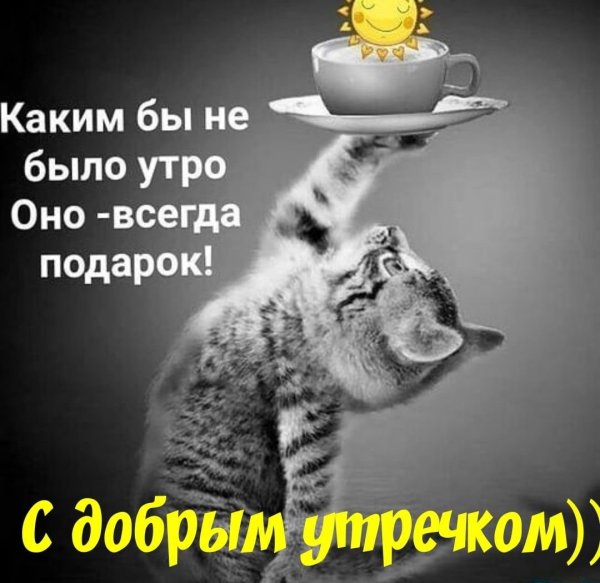 Доброе утро для коллег