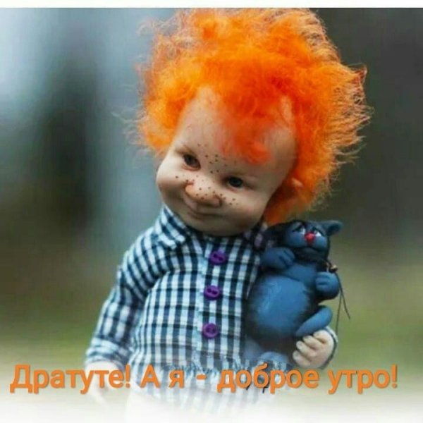 Дратуте картинки смешные