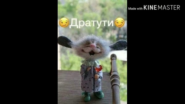 Открытка дратути
