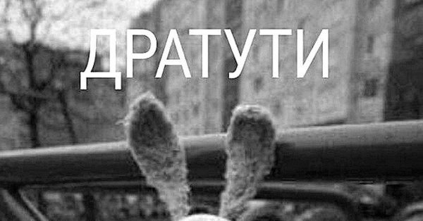Дратути надпись