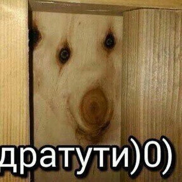Фанера дратути