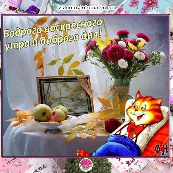 Доброго воскресного утра и хорошего дня