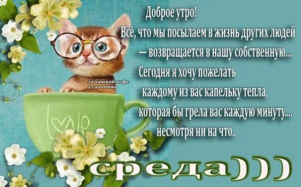 Открытки с добрым утром среды