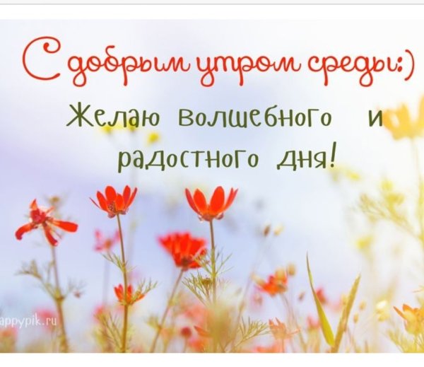 Открытки с добрым утром среды