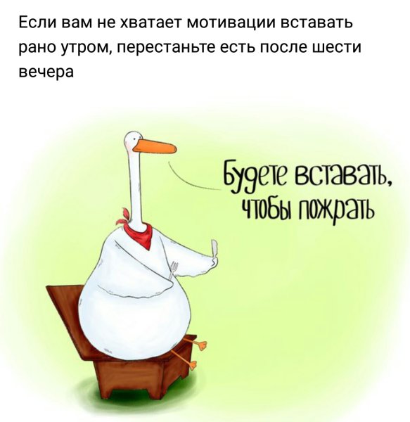 Смешные Мотивирующие высказывания