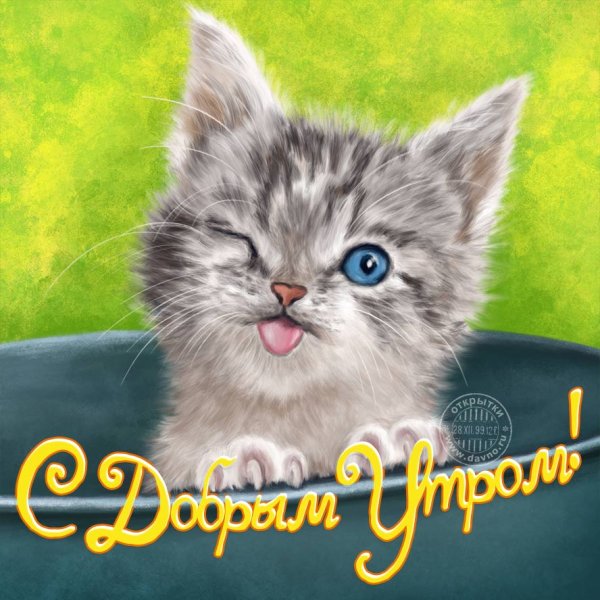 Открытки доброе утро с котятами