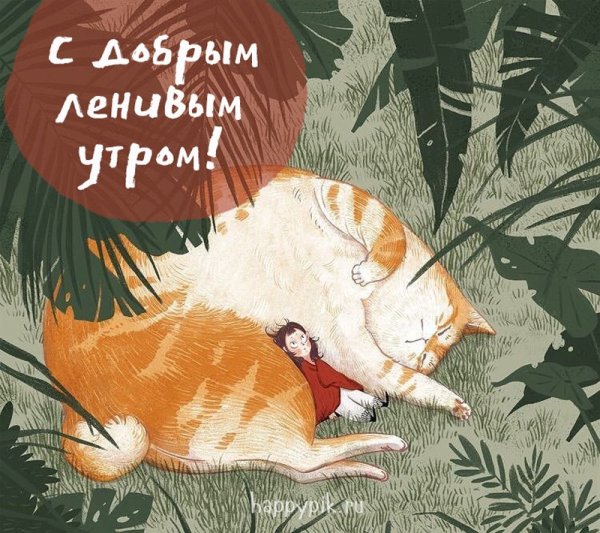 Открытки позитивные смешные добрые