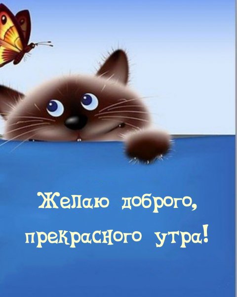 Добрый юмор в картинках с надписями