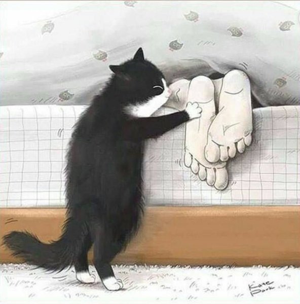 Открытки доброе утро с котиками