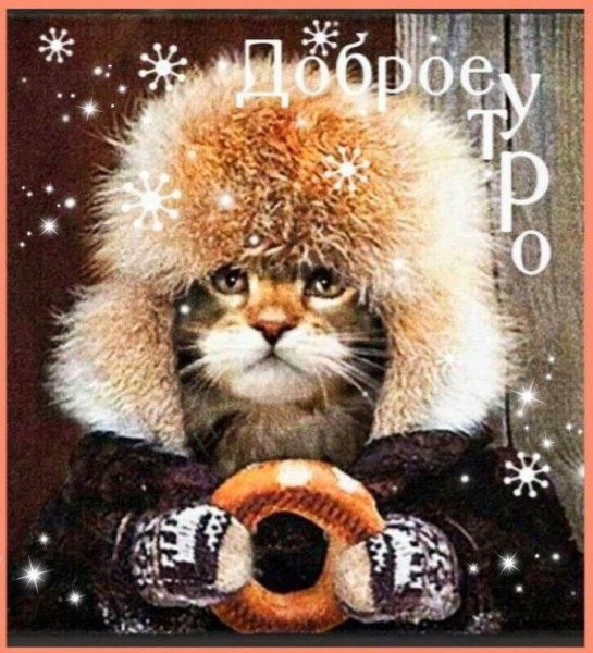 Доброе утро смешные зимние