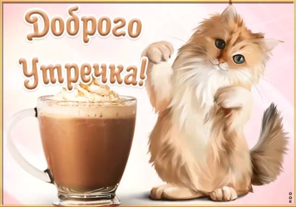 Доброе утро котики