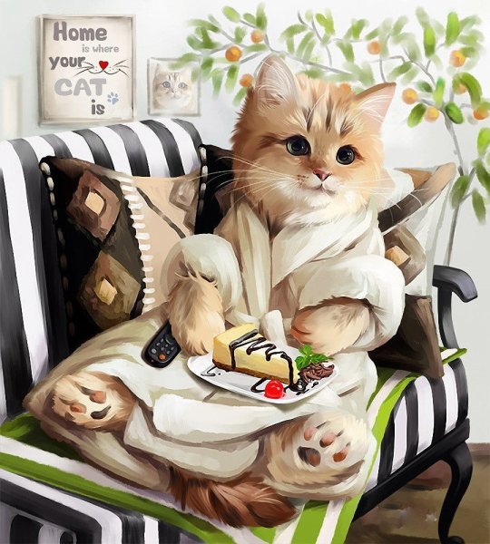 Доброе утро котики