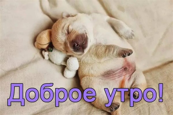 Доброе утро с надписью детям