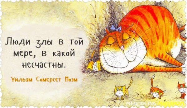 Открытки с позитивными высказываниями