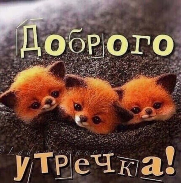 Доброе утро семья
