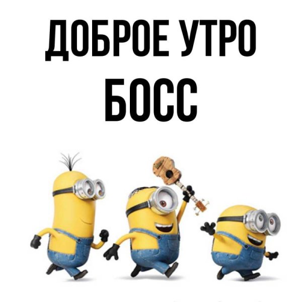Доброе утро шеф