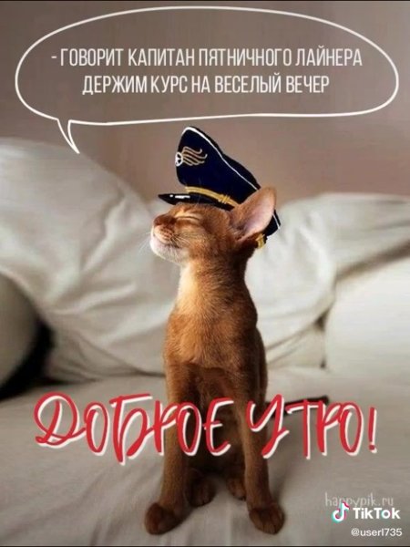 Доброе утро смешные картинки