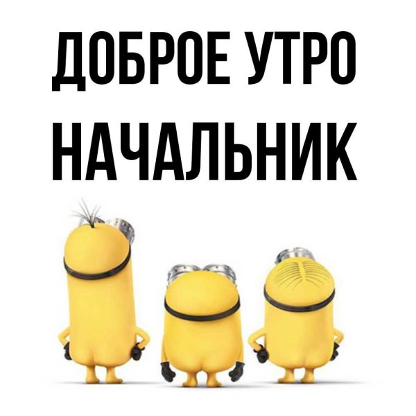 Доброе утро шеф