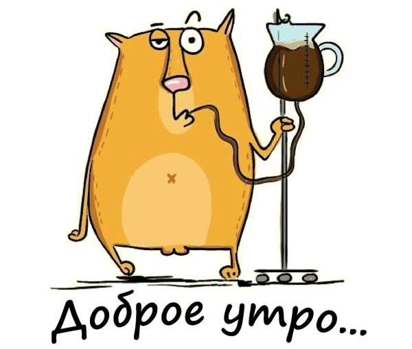 Смешные картинки с добрым утром