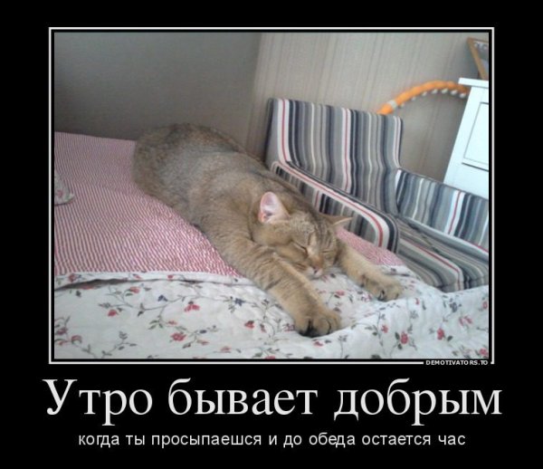 Демотиваторы с добрым утром