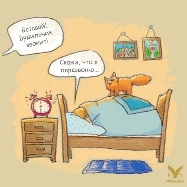 Утренняя шутка