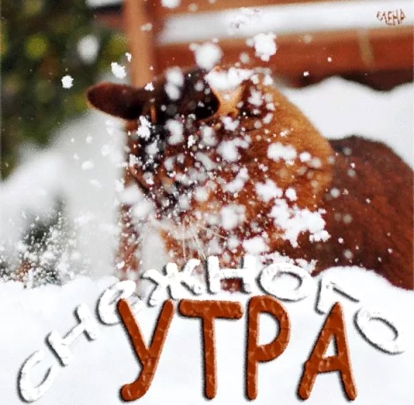 Со снежным утром