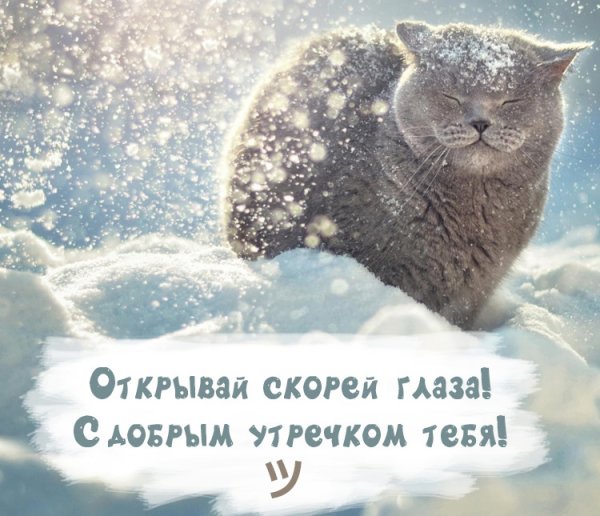 Со снежным утром